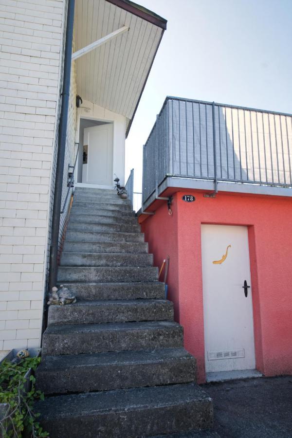 Lake Getaway Apartment With Private Entrance, Right On The Lake Constance Cycle Path, Barbecue Area, Free Wifi, Netflix And Free Bikes Salmsach Exterior foto